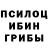Псилоцибиновые грибы Psilocybe Lenura Sakhapova