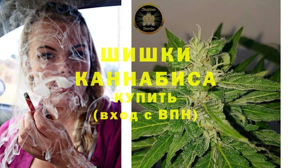 ПСИЛОЦИБИНОВЫЕ ГРИБЫ Богданович