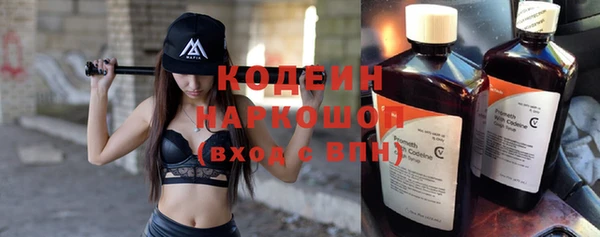 ПСИЛОЦИБИНОВЫЕ ГРИБЫ Богданович