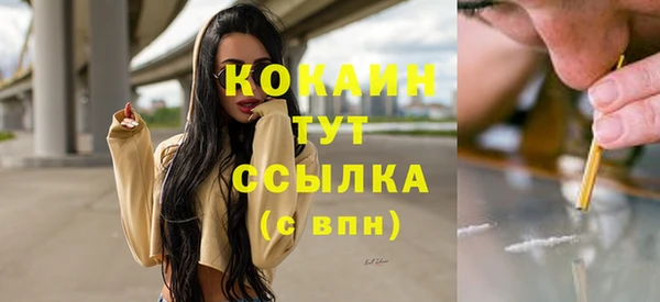 дмт Богородск