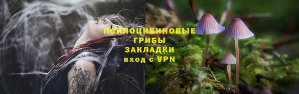 дмт Богородск
