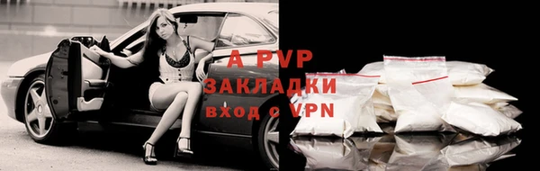 дмт Богородск