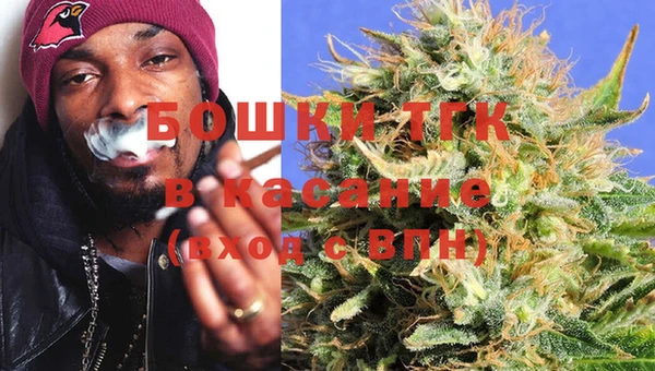ПСИЛОЦИБИНОВЫЕ ГРИБЫ Богданович